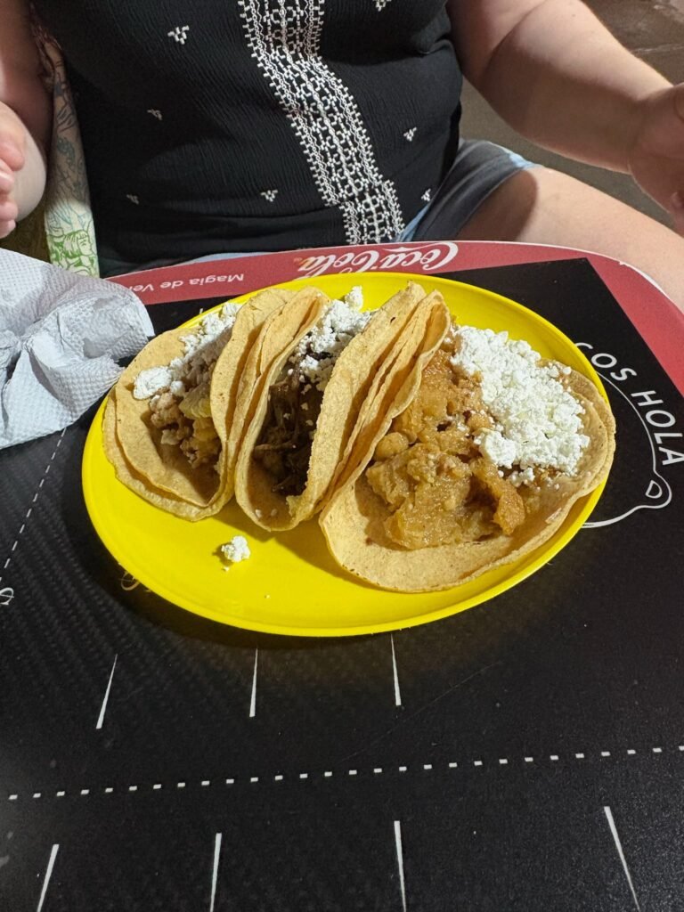 640974465 10174363367795045 6968712513985361077 n