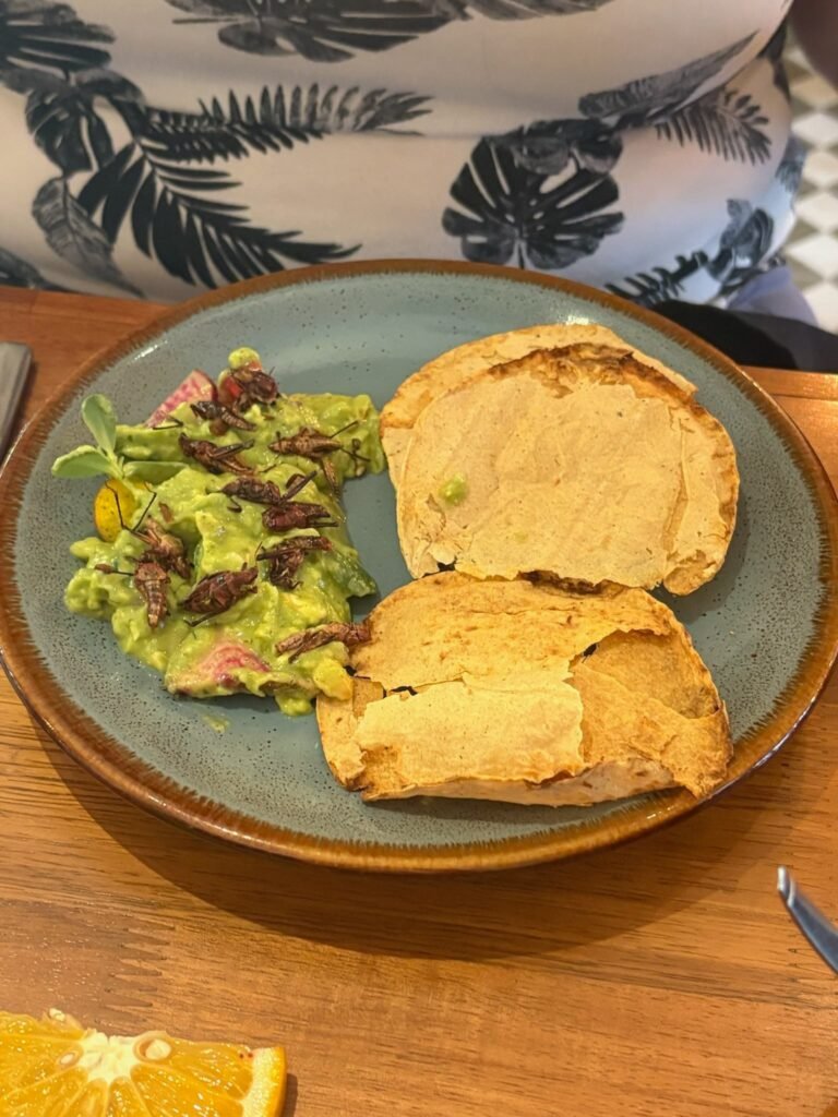 641177322 10174363409845045 2806048338509797289 n