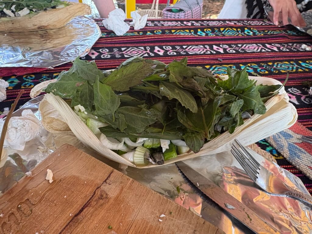 641327471 10174363363840045 8275631222434511466 n