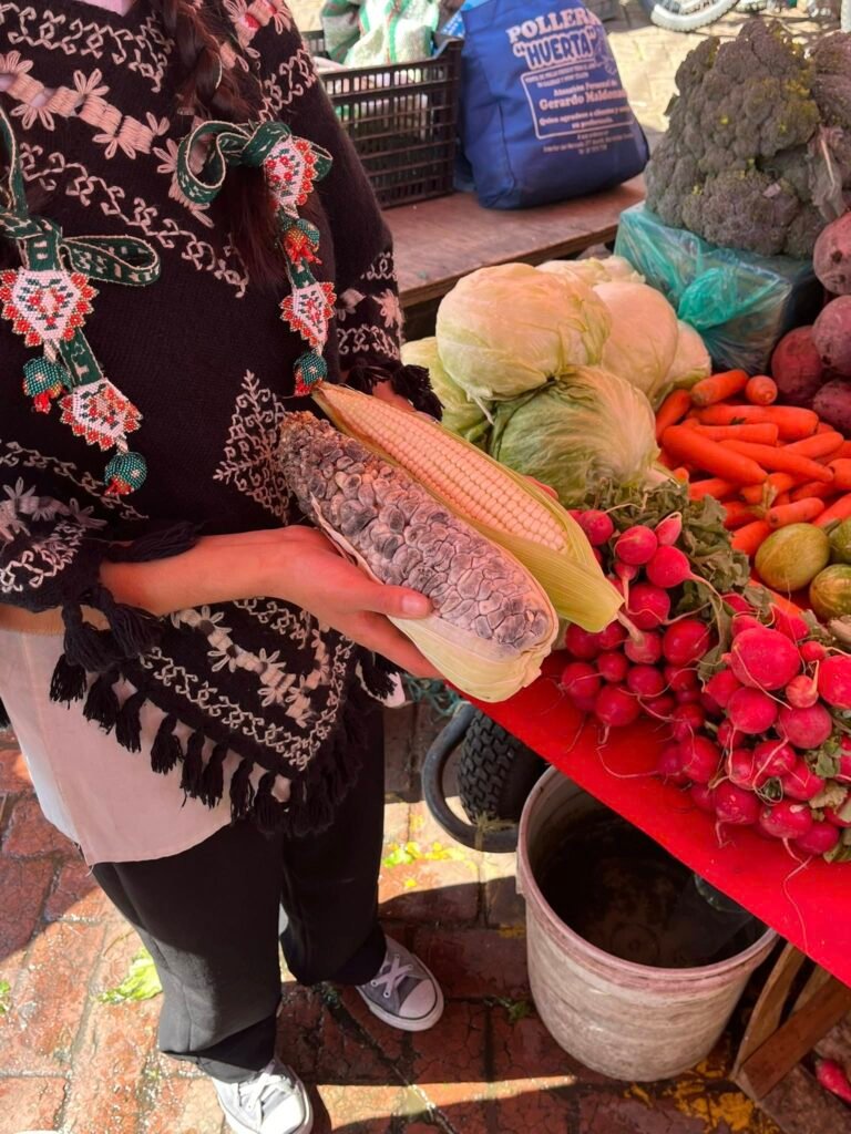 641442575 10174363365320045 1522637378768149714 n